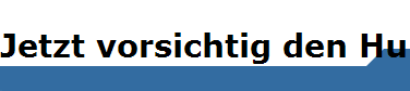 Jetzt vorsichtig den Humus verteilen