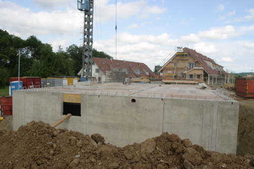 Der Keller wchst