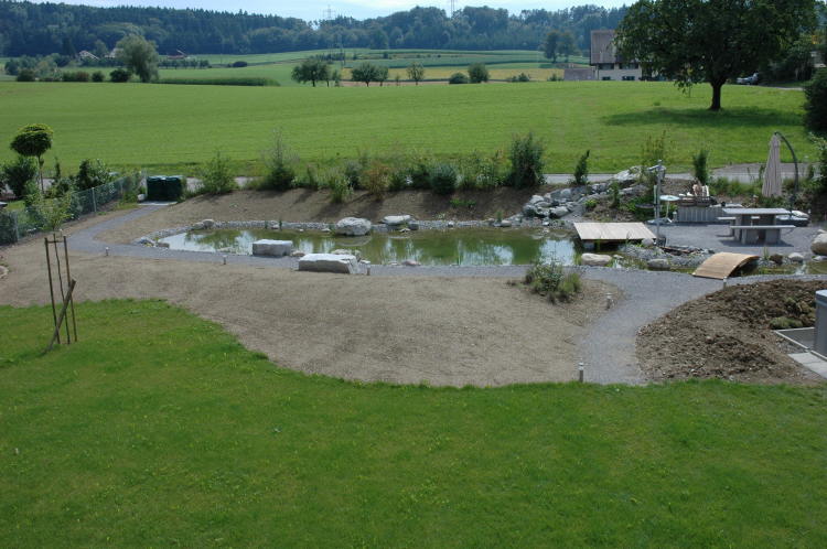 Teich19