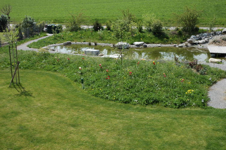 Teich20